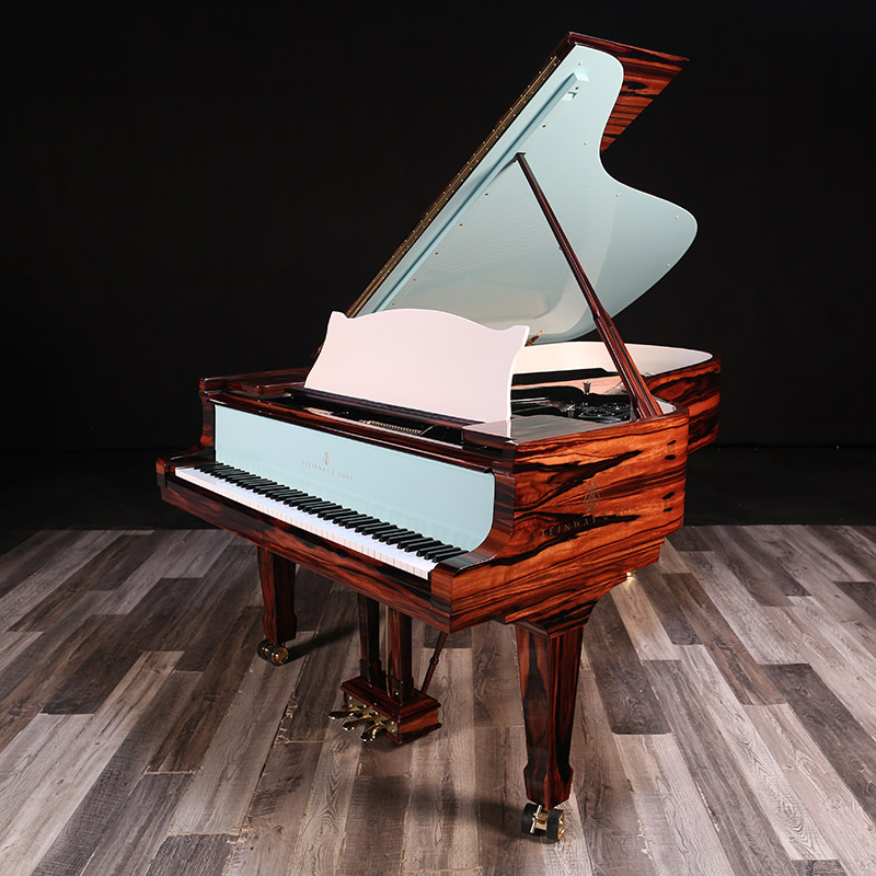 Macassar ebony with powder blue two-tone Steinway Hamburg B