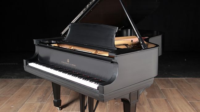 <span>1923</span> Steinway B