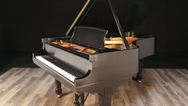 <span>1981</span> Steinway B