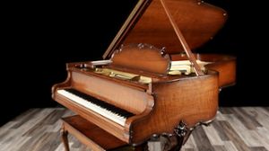 Steinway pianos for sale: 1929 Steinway Grand B - $125,000