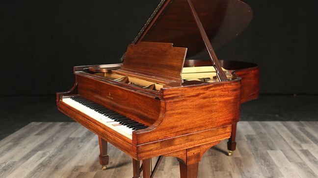 <span>1916</span> Steinway M