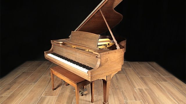 <span>1923</span> Steinway M