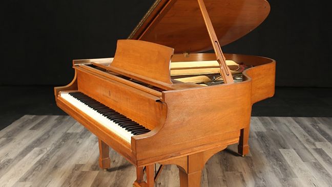 <span>1976</span> Steinway M