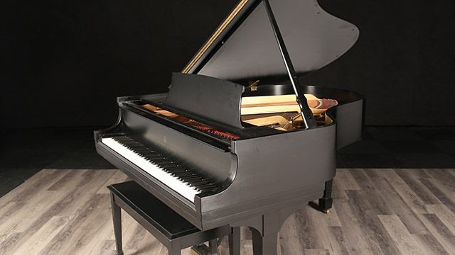 <span>1981</span> Steinway M