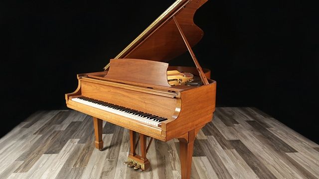 <span>1982</span> Steinway M