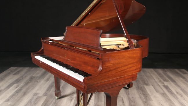 <span>1998</span> Steinway M