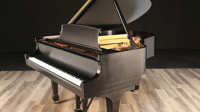 <span>2006</span> Steinway M