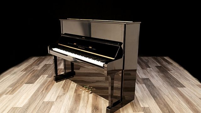 <span>1980</span> Yamaha U1