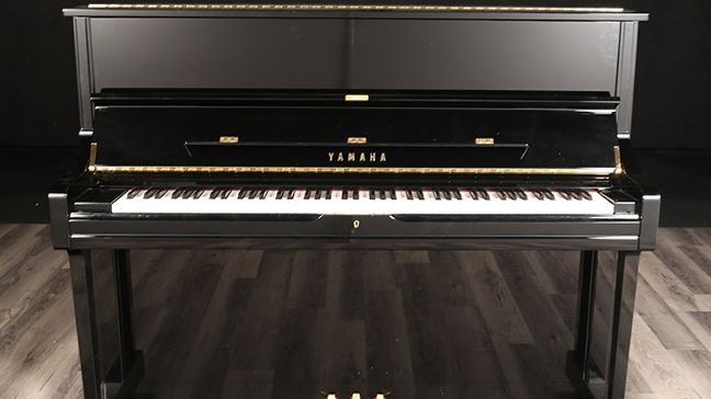 <span>2009</span> Yamaha U1